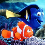 nemo.jpg